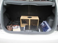 picking up the bees