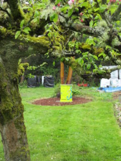 painted and in its location