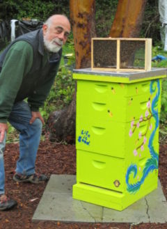 showing them the hive