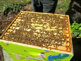 second brooder box