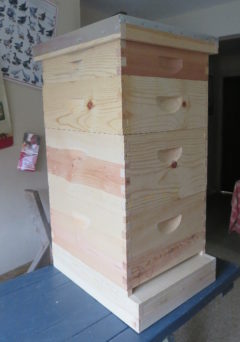 the new bee hive