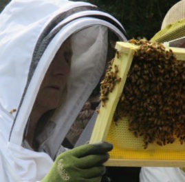 finding the queen