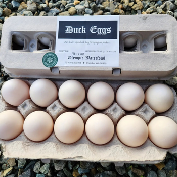 A dozen duck eggs lie in an open carton on gravel. The carton label reads "Duck Eggs" with a farm address and freshness date, evoking rustic freshness.