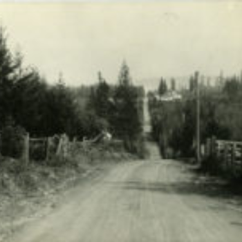Dirt road stretching into the distance, lined with trees and wooden fences on both sides. The scene conveys a peaceful, rural atmosphere.