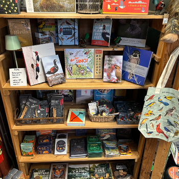A collection of books on a shelf, accompanied by a bag placed on top of the books.