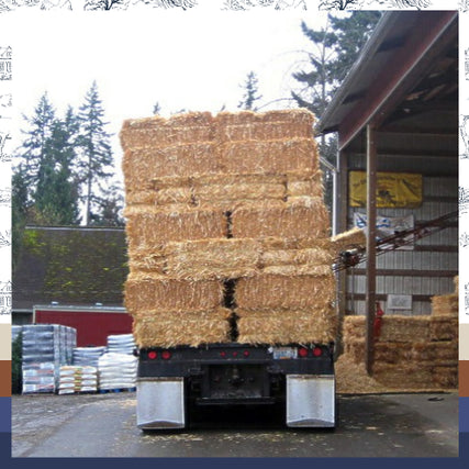 Feed & Farm SuppliesA truck loaded with neatly stacked hay bales parked near a warehouse. Trees and additional hay are visible, conveying a rural, agricultural setting.