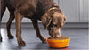 Purina Pro Plan Savor Chicken & Rice Entree Canned Adult Dog Food