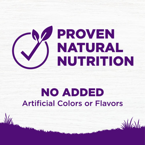 Wellness Complete Health Grained Senior Chicken & Barley Dry Dog Food