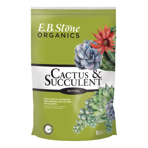 EB Stone Cactus & Succulent Mix
