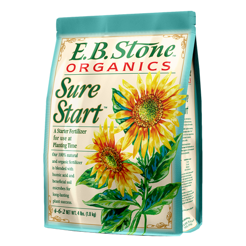 EB Stone Sure Start 4-6-2
