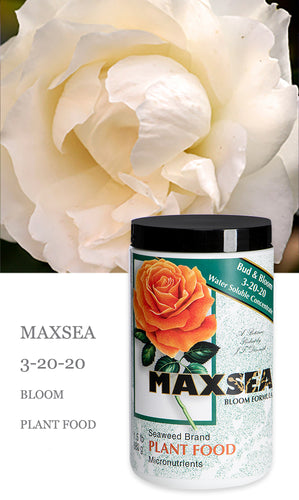 Maxsea 3-20-20 Bloom Plant Food