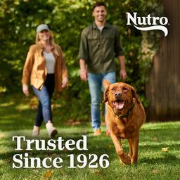 Nutro Natural Choice Healthy Weight Large Breed Adult Farm-Raised Chicken & Rice Dry Dog Food