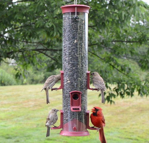 Nature's Way Large Plastic Tube Bird Feeder Red