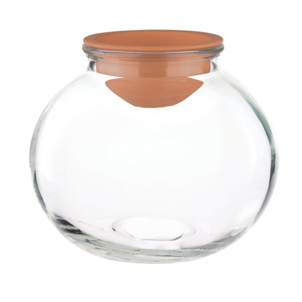 Syndicate 8 Bubble Ball Bulb Planter