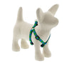 Lupine Pet Original Designs Dog Collar