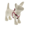 Lupine Pet Original Designs Dog Collar