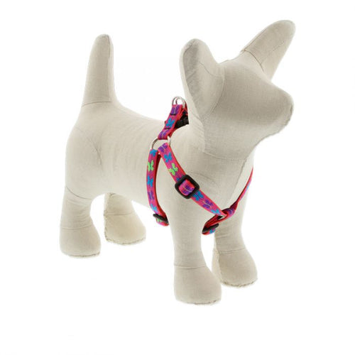 Lupine Pet Original Designs Dog Collar