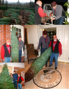 tree_delivery_at_the_governer